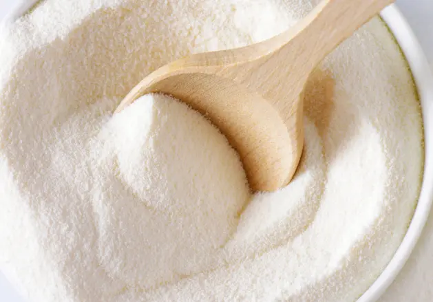 Plant Protein Application Plant Protein Application