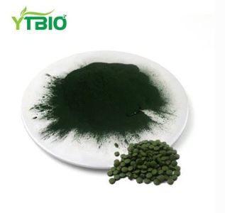 Spirulina ntụ ntụ nnukwu