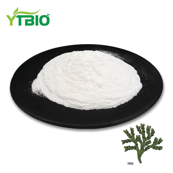 Extracto de Fucoidan en po