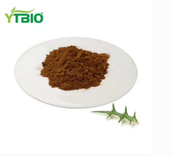 Extracto de Ajuga Turkestanica en po