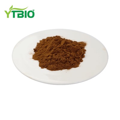 Maitake Extract Powder