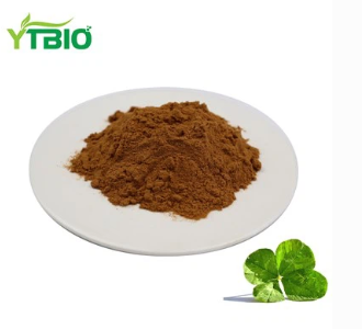 Extracto de Gotu Kola en po