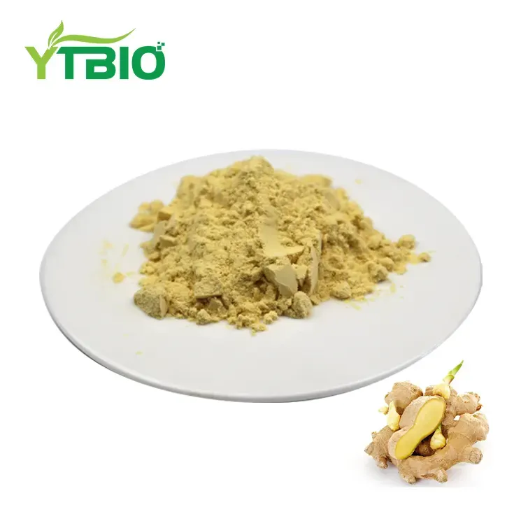 Gingerol en po