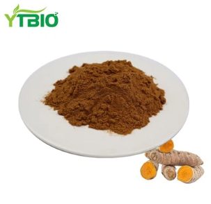 Powder Extract Curcuma