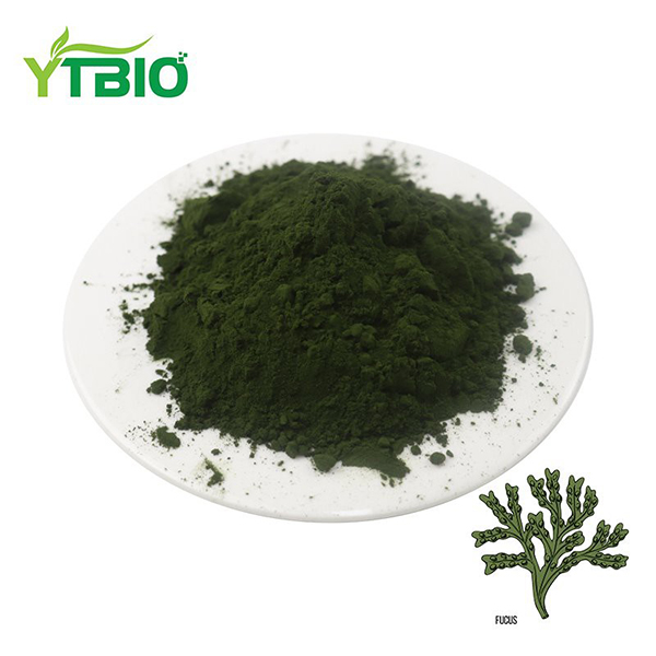 Powder Fucoxanthin
