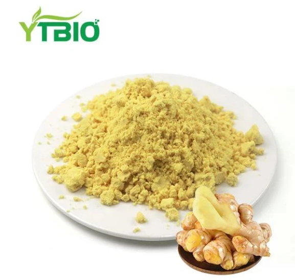 Bulk Ginger Extract Powder