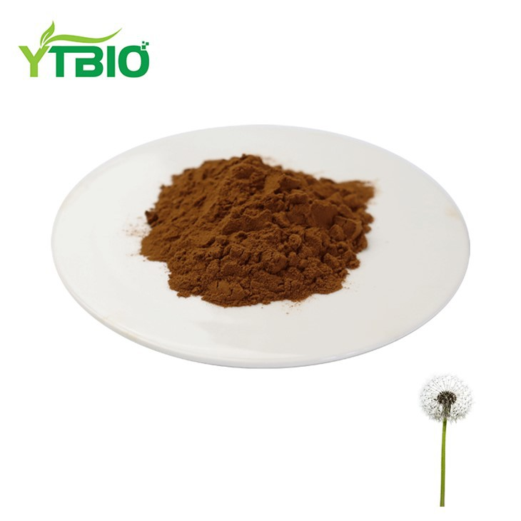 Bulk Dandelion Extract Powder