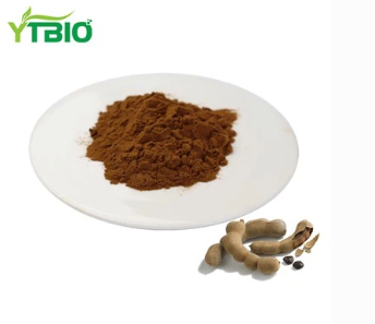 Extracto de tamarindo en po