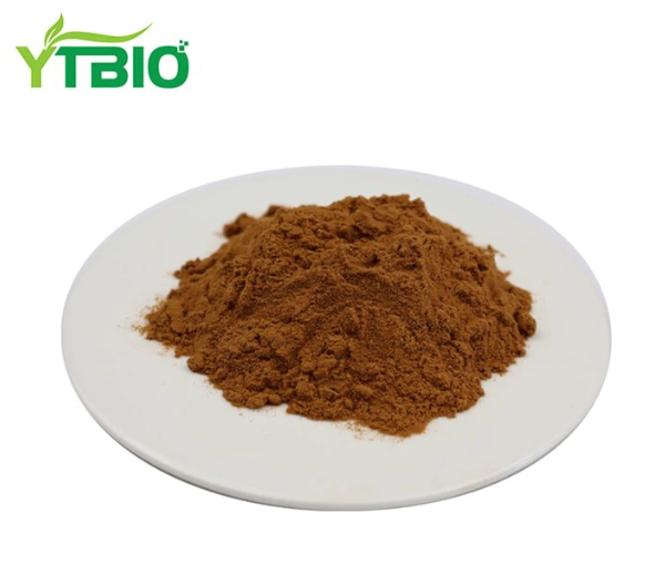 Extracto de notoginseng en po de Radix