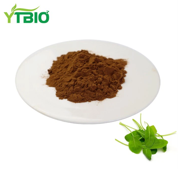 Andrographis Extract Powder
