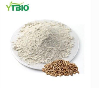 Mellor proteína en po de sementes de cánabo