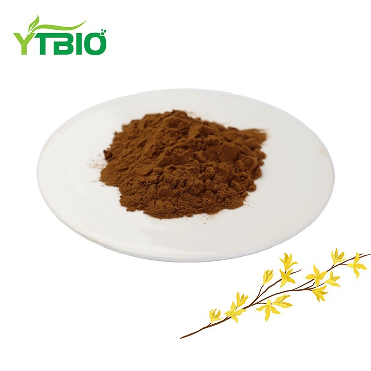 Extracto de Forsythia Suspensa