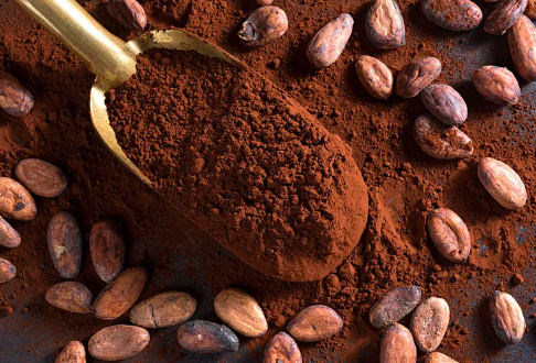 2026 Functional Beverage Trends: Why Pure Cocoa Powder Drink Are Becoming Increasingly Popular 2026 Functional Beverage Trends: Why Pure Cocoa Powder Drink Are Becoming Increasingly Popular