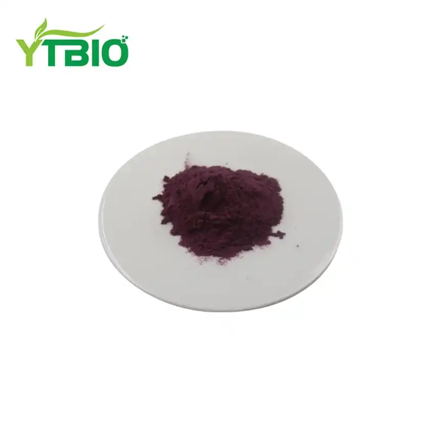 Elderberry Anthocyanins