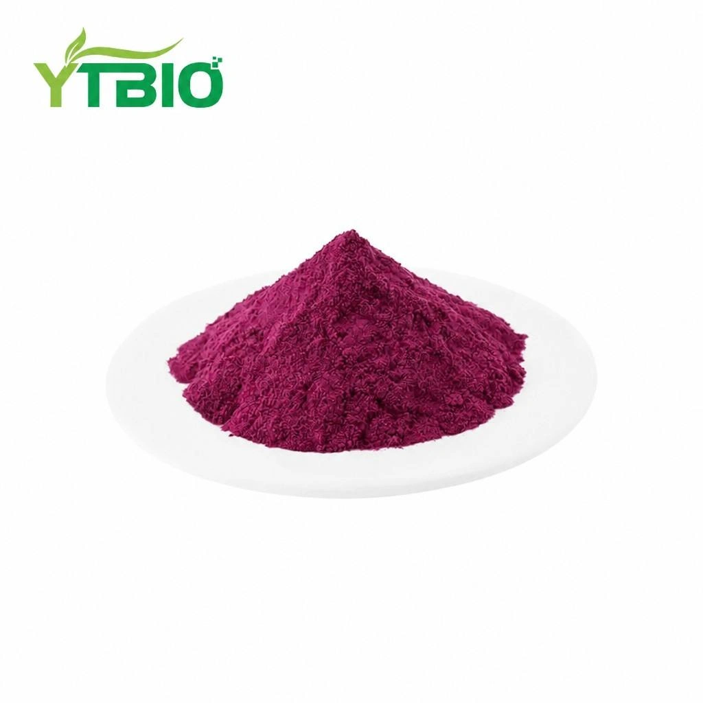 Mulberry Frukta Pulvoro