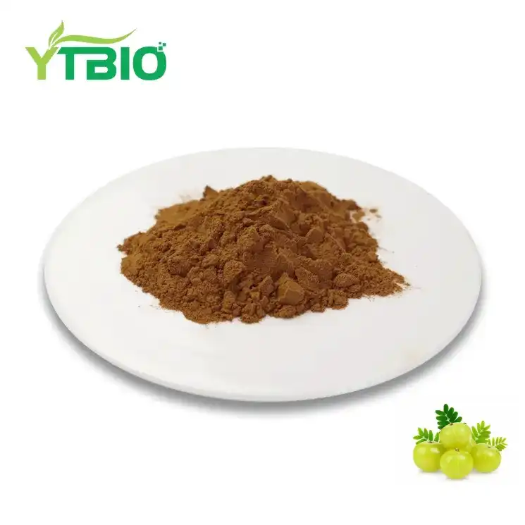 Amla Extract Powder
