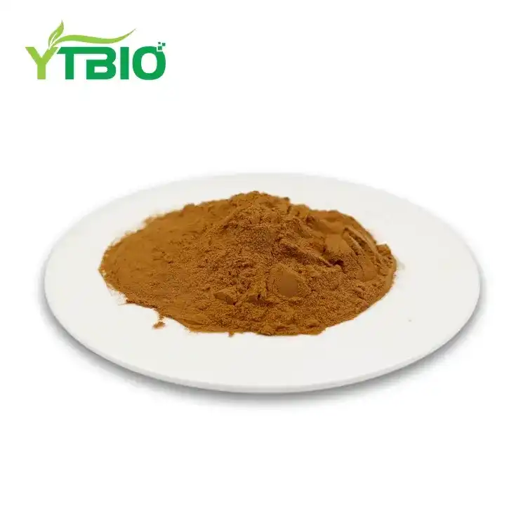 Ivy Leaf Extract Powder