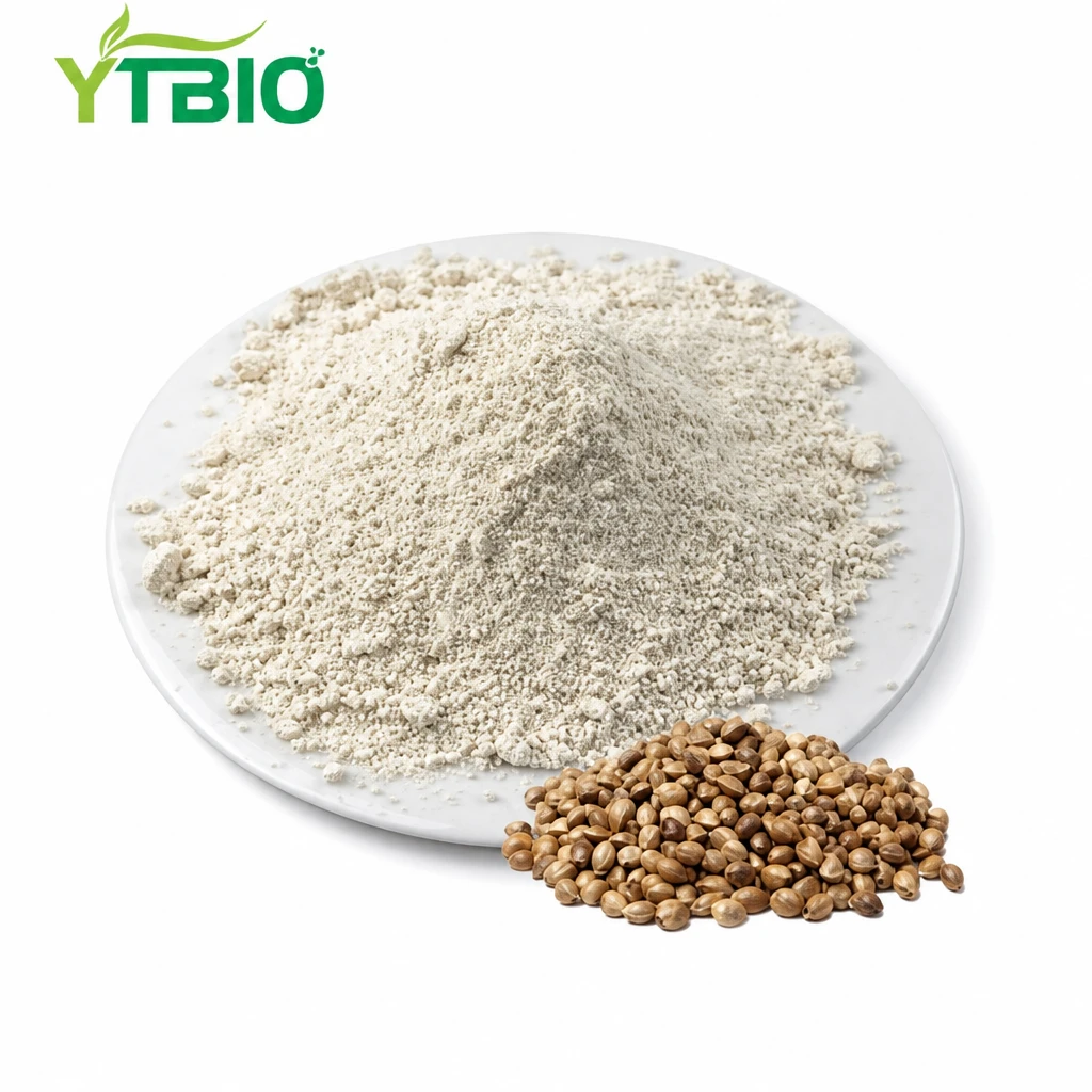 Budada Protein Abuurka Hemp ugu Fiican