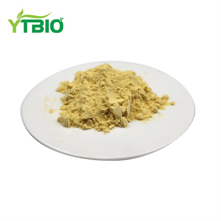 Sulforaphane Pulver Bulk