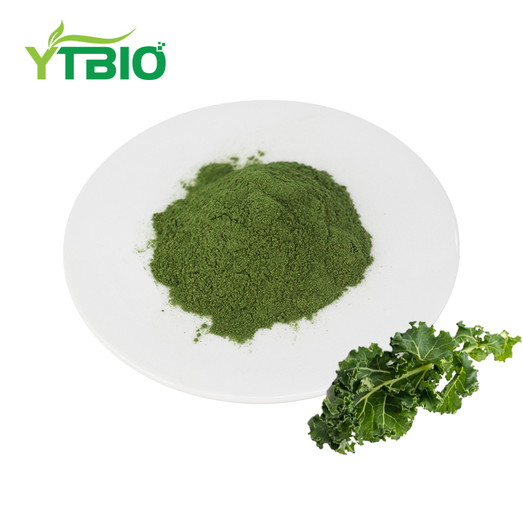 Bulk Kale Powder