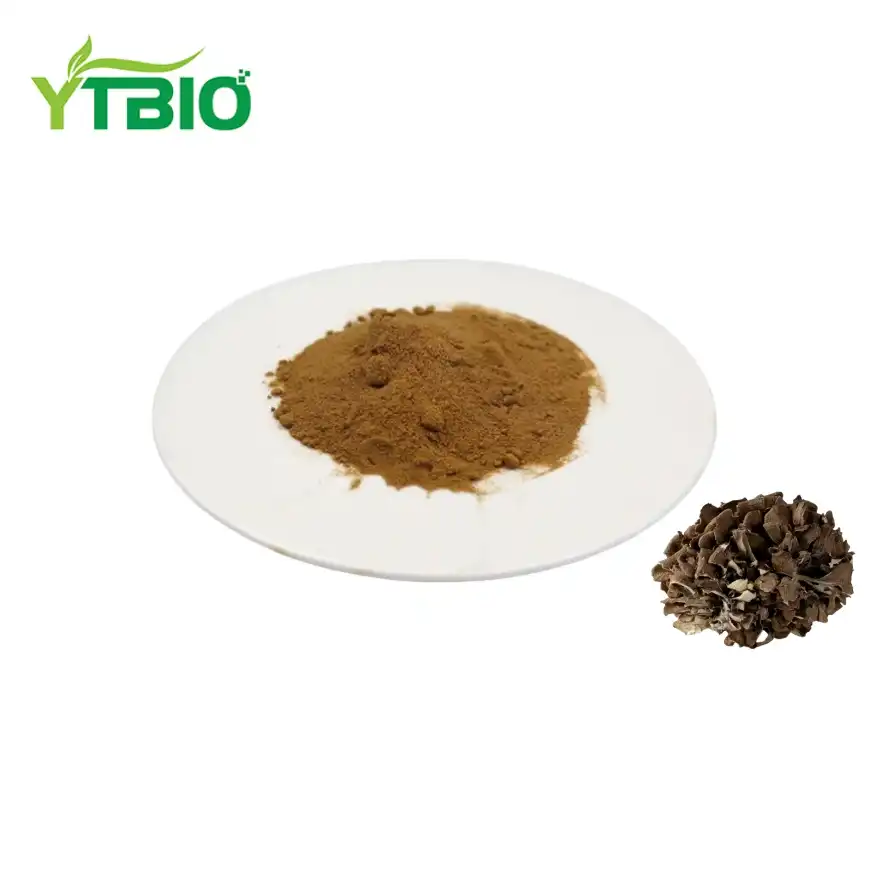 Maitake սնկի էքստրակտ փոշի