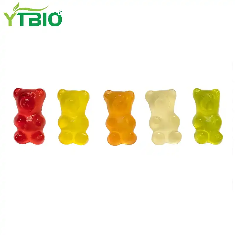 Best Sugar Free Multivitamin Gummies