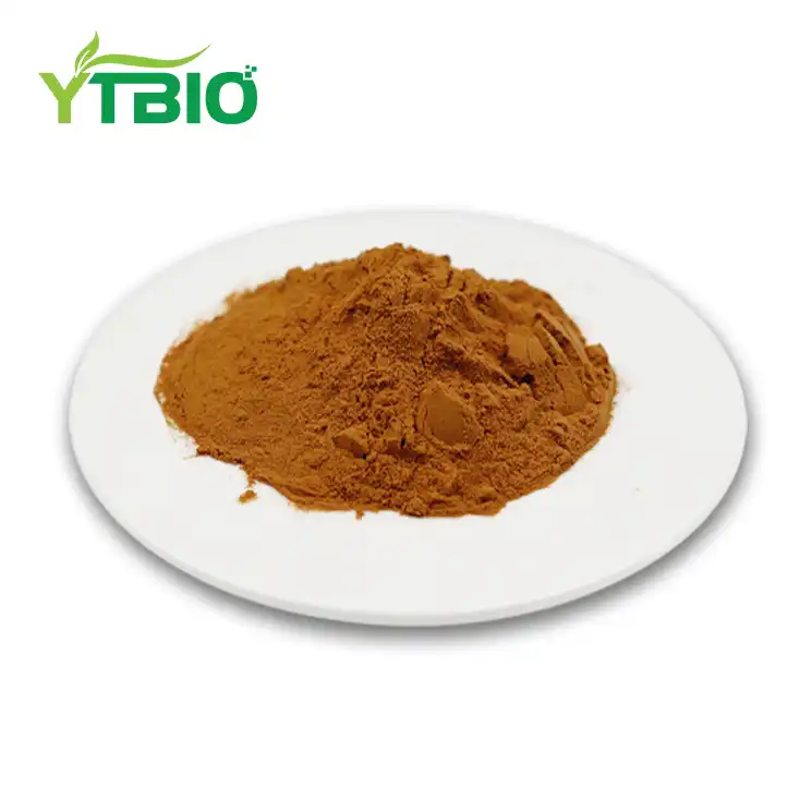 Kelp Extract Powder