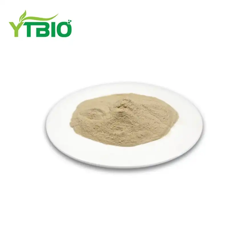 Խմորիչի սպիտակուցի փոշի