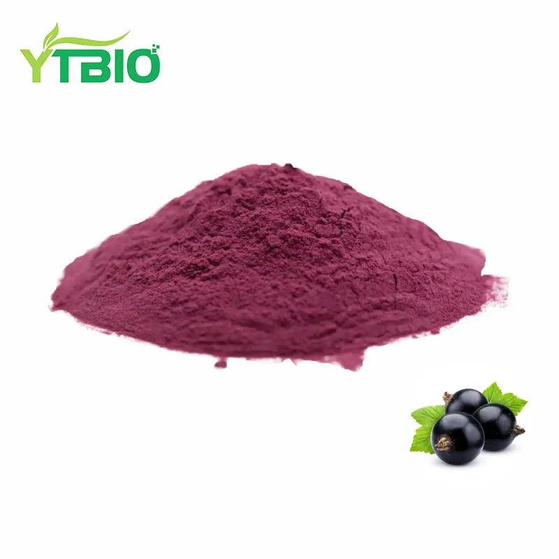 Black Currant Fruit Powder