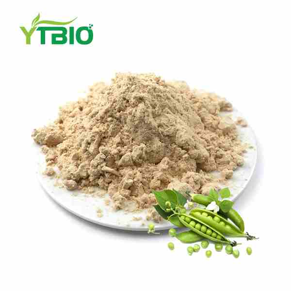 Pea Protein Powder Bulk