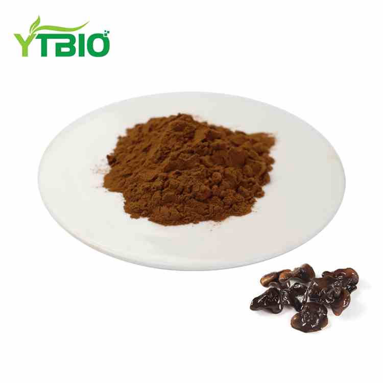 Extract Fungus Reş