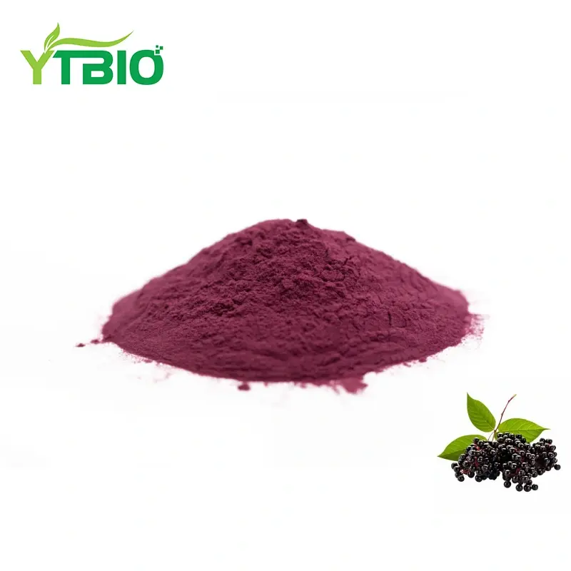 Elderberry Extract Powder