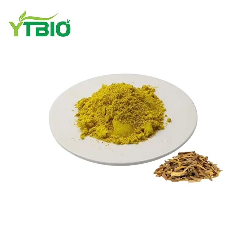 Phellodendron Extract Powder