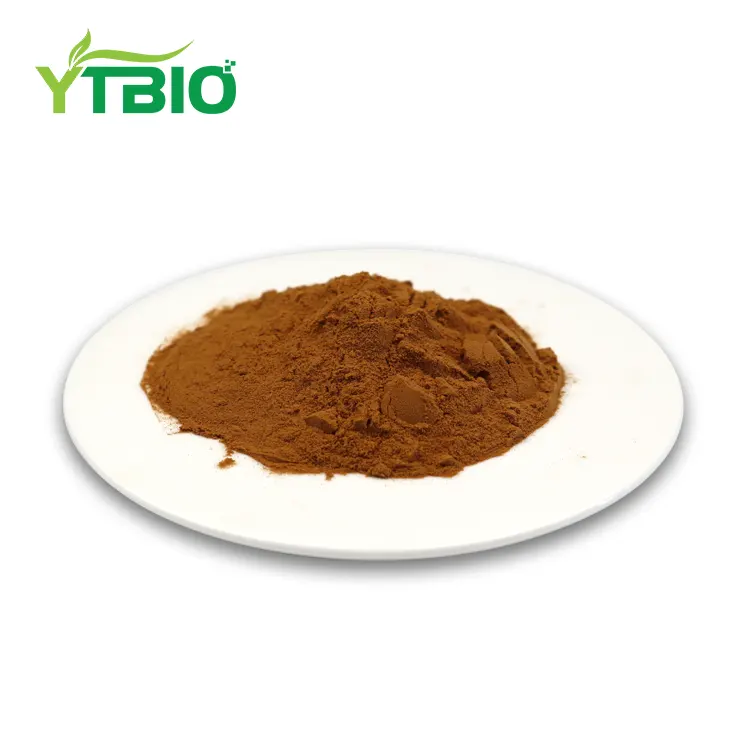 Bulk Reishi-soppekstraktpulver