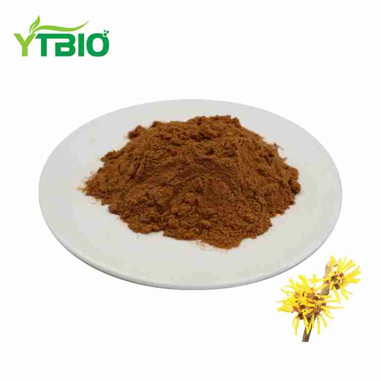 Extracto de hamamelis en po