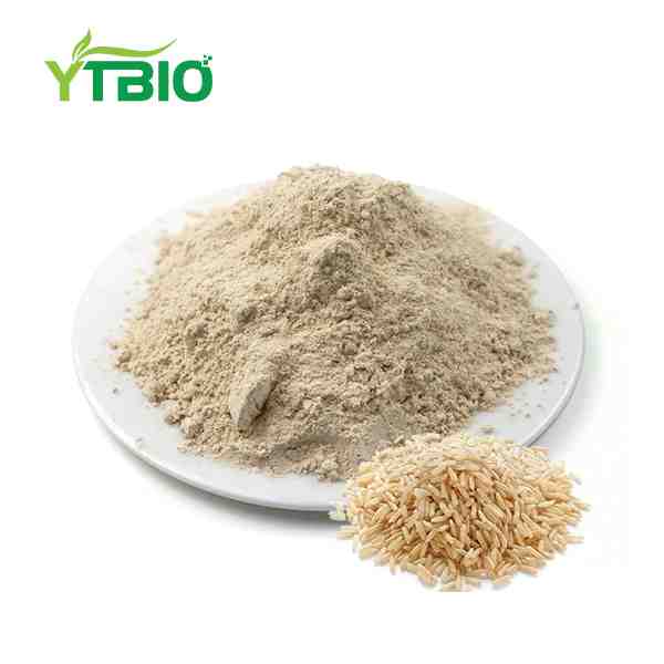 Organic Brown Rice Protein Powder