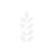 GLUTEN FREE
