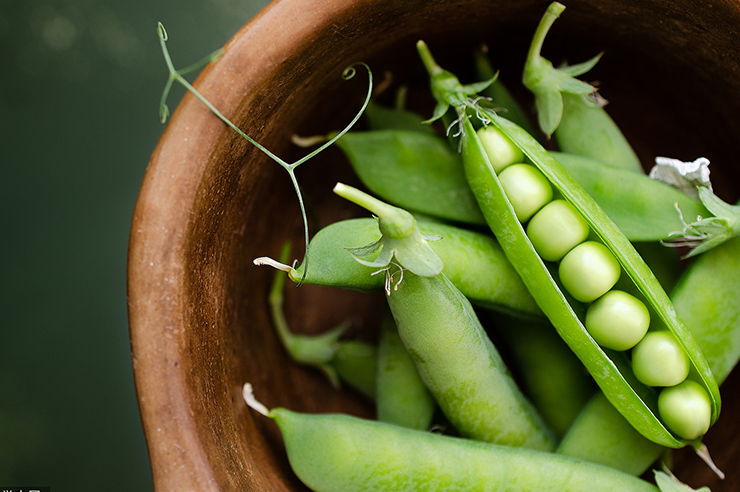 Organic Plant Protein